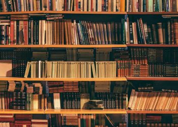 Oyunlarla Alakalı Kitaplar