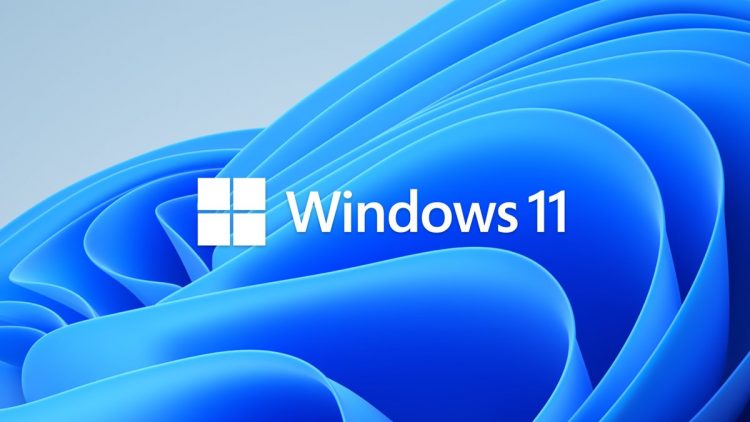 Windows 11 Oyuncular / Oyun