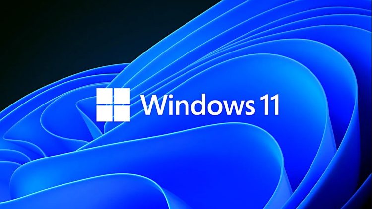 Steam Kullanıcıları Windows 11'e Geçmeye Devam Ediyor