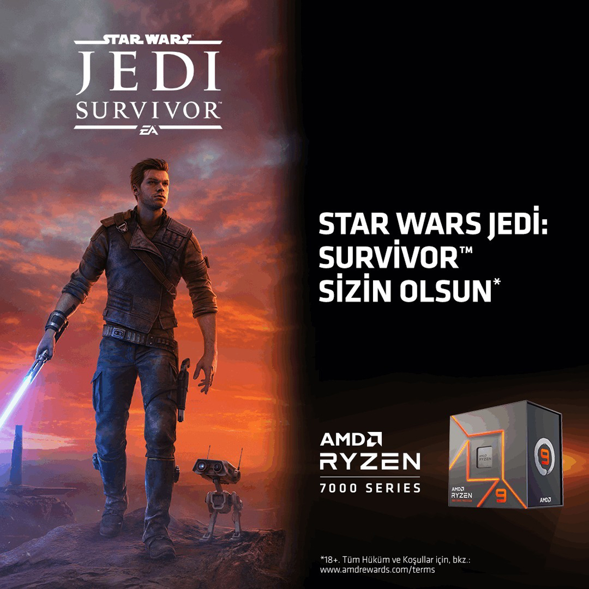 amd-jedisurvivor