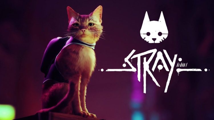 Stray Animasyon Film Oluyor!