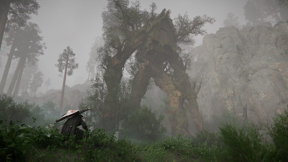 Pearl Abyss, Crimson Desert Planları Hakkında Konuştu