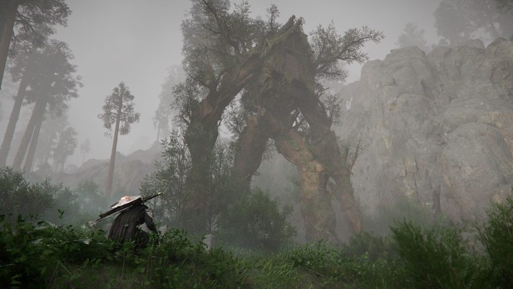 Pearl Abyss, Crimson Desert Planları Hakkında Konuştu