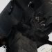 Resident Evil Requiem Yüzüklerin Efendisi Detayı ile Gündeme Geldi
