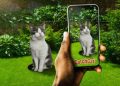 CatchCat, Kedileri Sevenleri Kendisine Hayran Bırakacak