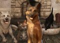 Fallout 76'ya Oyunculara Eşlik Eden Yoldaşlara Kavuşacak