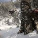 Yeni Ghost Recon Oyunu Resmen Geliştirilme Aşamasında